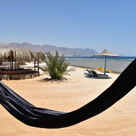 Shanty Beach Camp Suer
